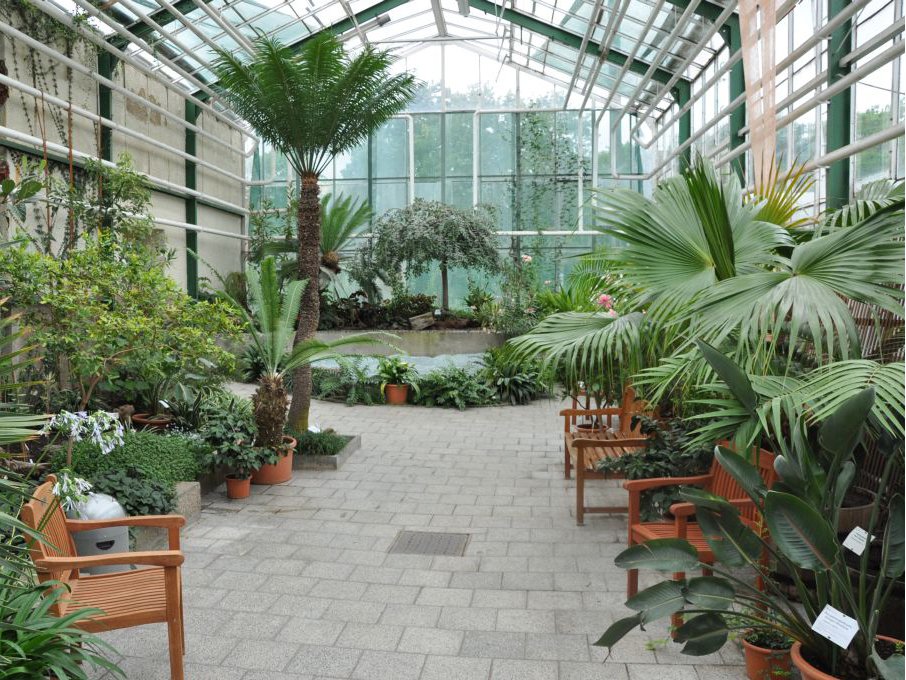 🌴 그루존 온실(그루존-게벡스호이저)